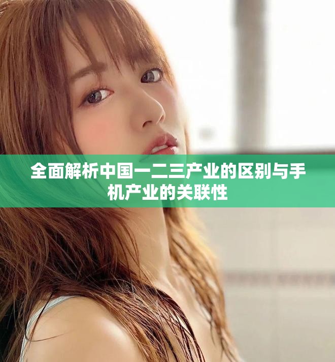 全面解析中国一二三产业的区别与手机产业的关联性