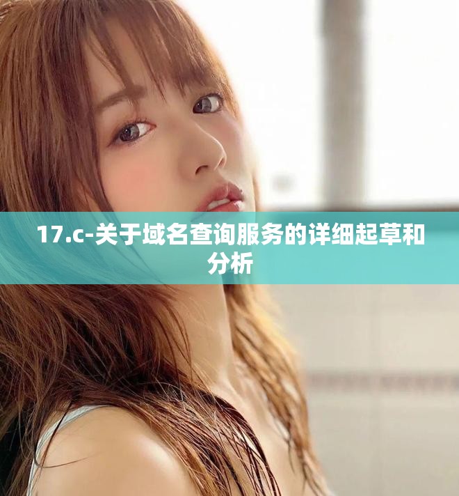 17.c-关于域名查询服务的详细起草和分析