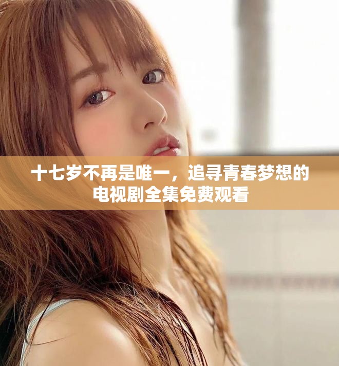 十七岁不再是唯一，追寻青春梦想的电视剧全集免费观看