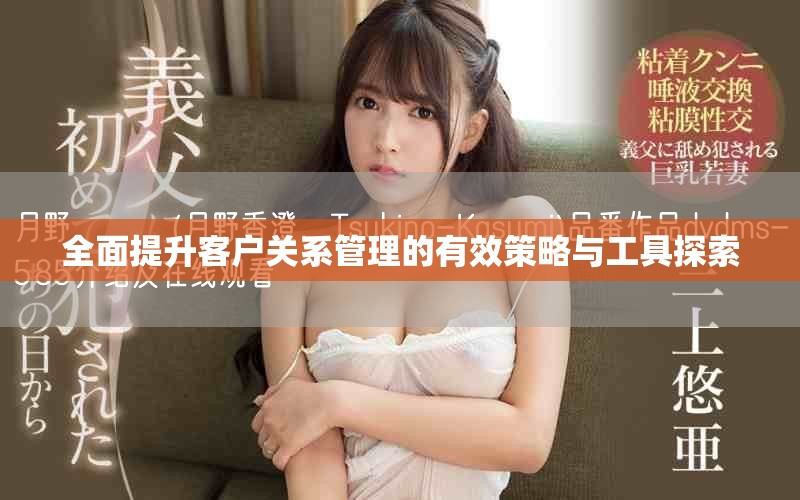 全面提升客户关系管理的有效策略与工具探索