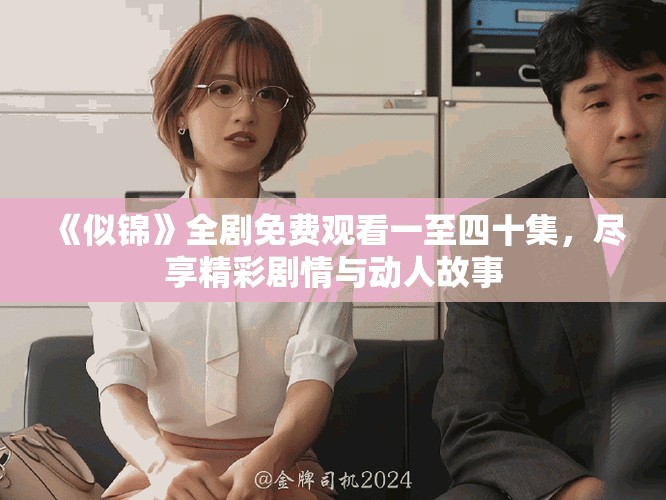 《似锦》全剧免费观看一至四十集，尽享精彩剧情与动人故事