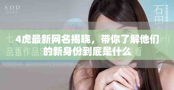 4虎最新网名揭晓，带你了解他们的新身份到底是什么
