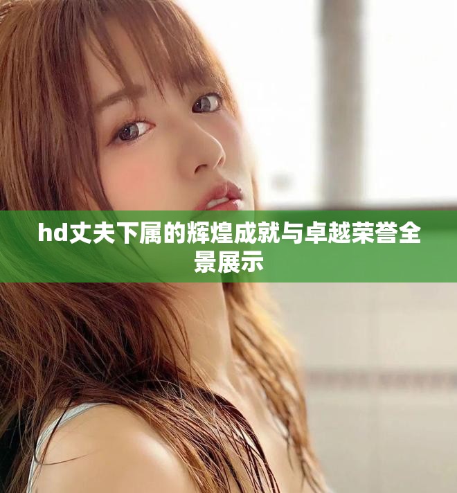 hd丈夫下属的辉煌成就与卓越荣誉全景展示