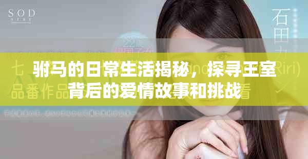 驸马的日常生活揭秘，探寻王室背后的爱情故事和挑战