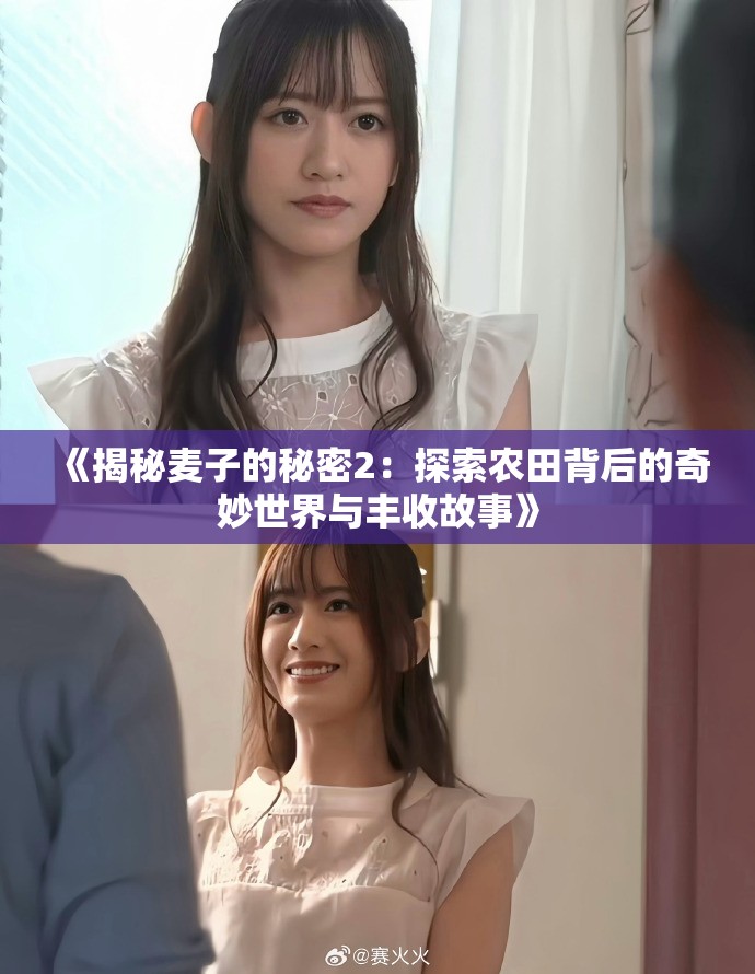 《揭秘麦子的秘密2：探索农田背后的奇妙世界与丰收故事》