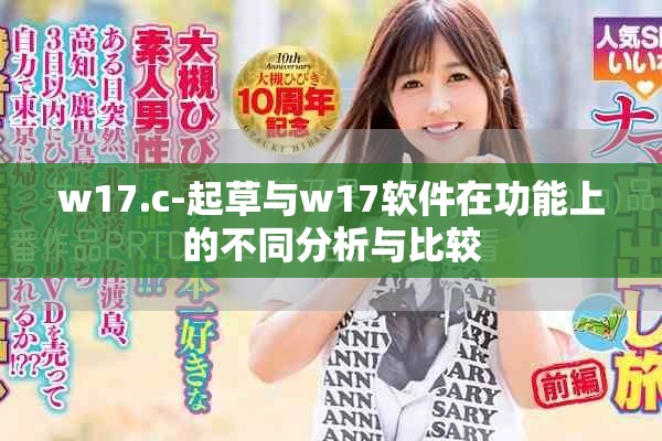 w17.c-起草与w17软件在功能上的不同分析与比较