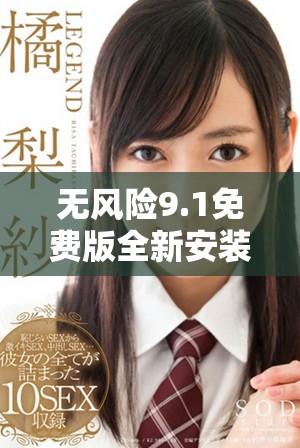 无风险9.1免费版全新安装指南，轻松享受安全体验