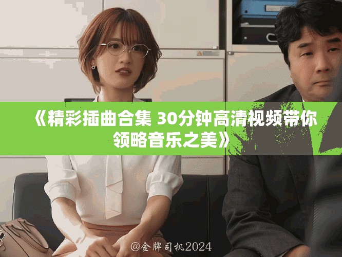 《精彩插曲合集 30分钟高清视频带你领略音乐之美》