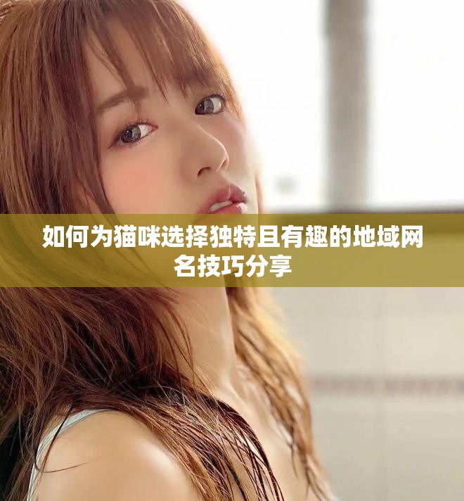 如何为猫咪选择独特且有趣的地域网名技巧分享