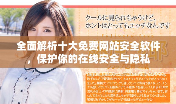 全面解析十大免费网站安全软件，保护你的在线安全与隐私