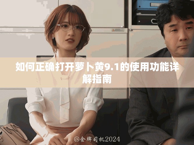 如何正确打开萝卜黄9.1的使用功能详解指南