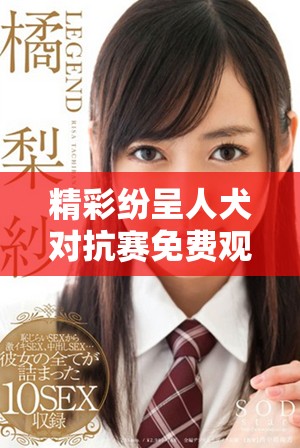 精彩纷呈人犬对抗赛免费观看全程在线直播