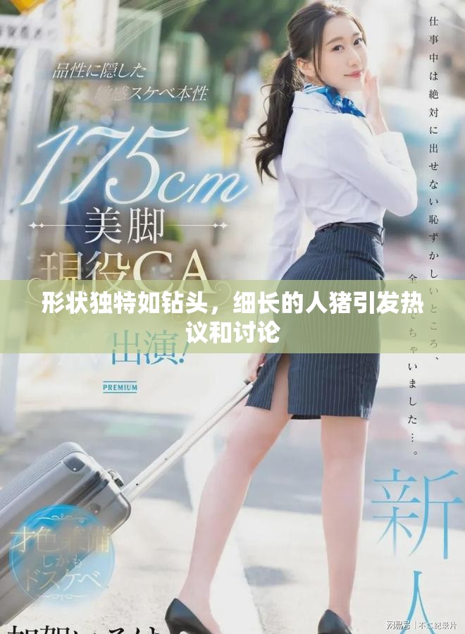 形状独特如钻头，细长的人猪引发热议和讨论