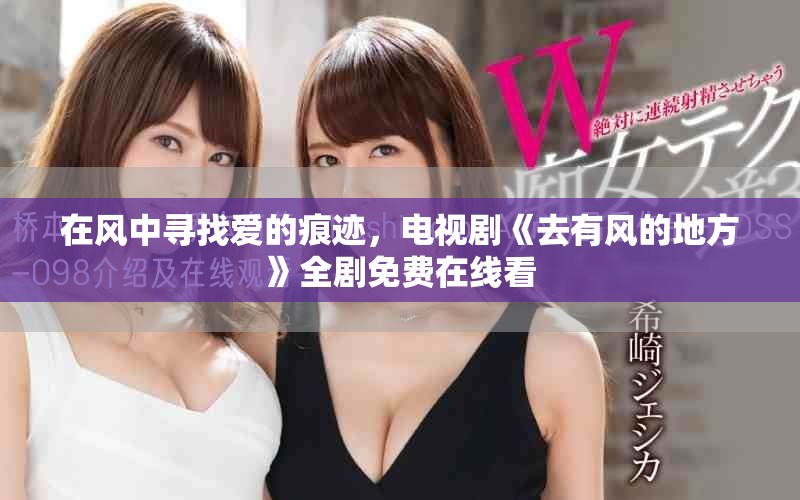 在风中寻找爱的痕迹，电视剧《去有风的地方》全剧免费在线看