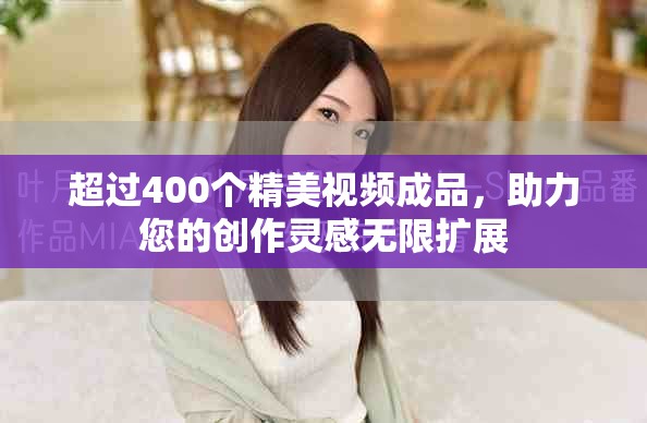 超过400个精美视频成品，助力您的创作灵感无限扩展