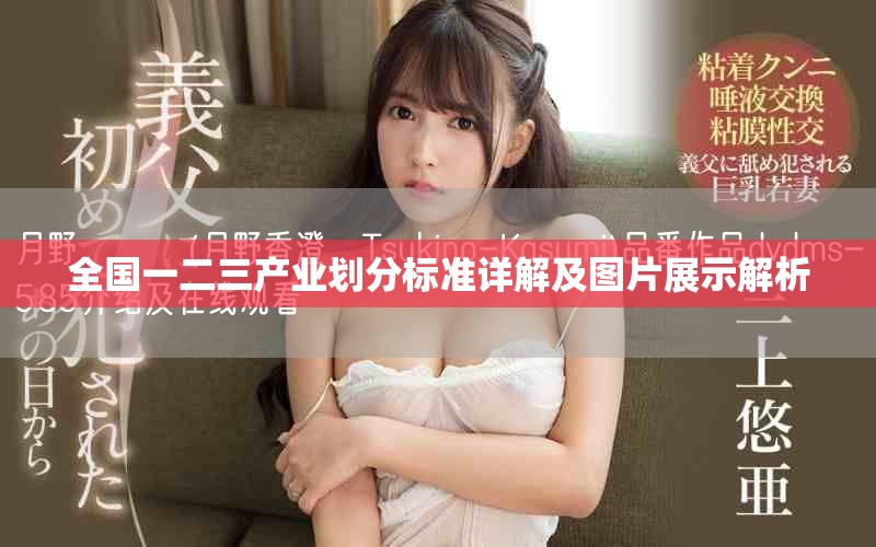 全国一二三产业划分标准详解及图片展示解析
