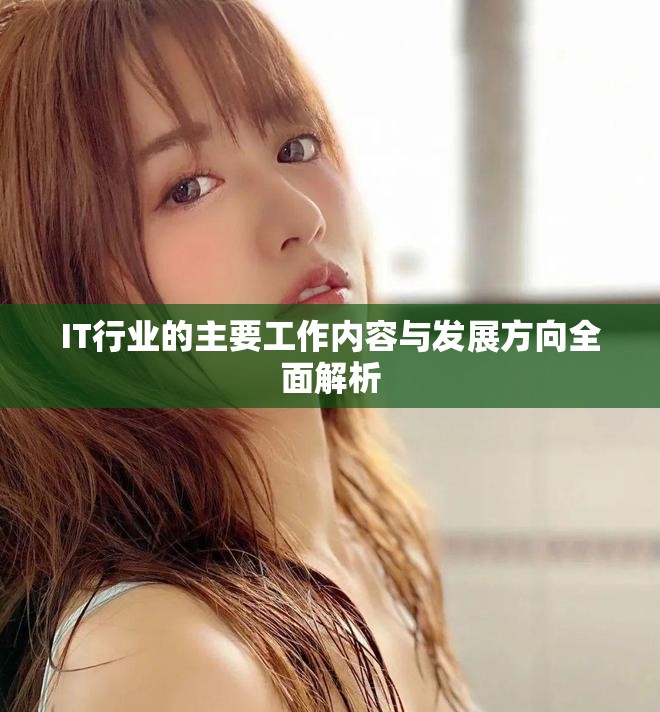 IT行业的主要工作内容与发展方向全面解析