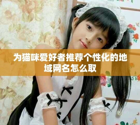 为猫咪爱好者推荐个性化的地域网名怎么取