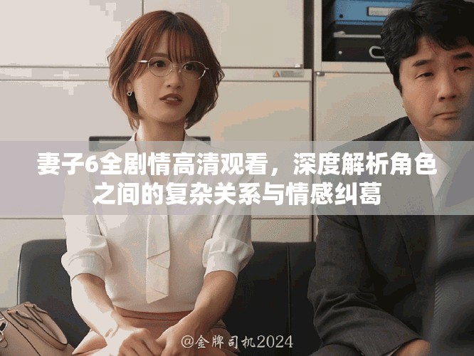 妻子6全剧情高清观看，深度解析角色之间的复杂关系与情感纠葛