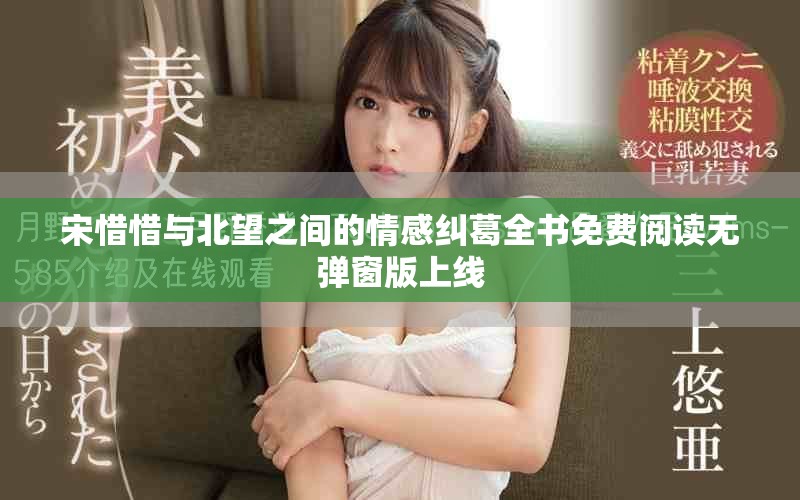 宋惜惜与北望之间的情感纠葛全书免费阅读无弹窗版上线
