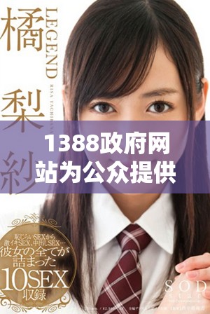1388政府网站为公众提供信息和服务平台探秘