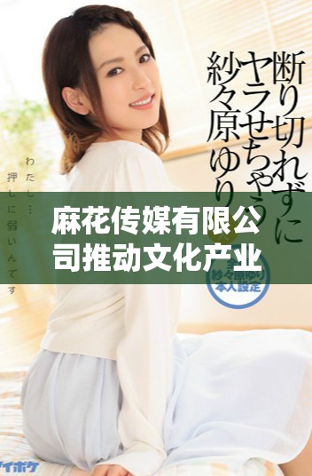 麻花传媒有限公司推动文化产业创新与发展新局面