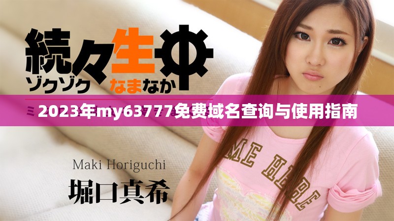 2023年my63777免费域名查询与使用指南
