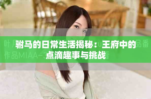 驸马的日常生活揭秘：王府中的点滴趣事与挑战
