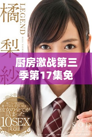 厨房激战第三季第17集免费观看高清在线精彩回顾与分析