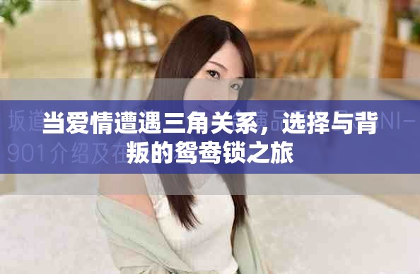 当爱情遭遇三角关系，选择与背叛的鸳鸯锁之旅