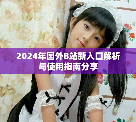 2024年国外B站新入口解析与使用指南分享