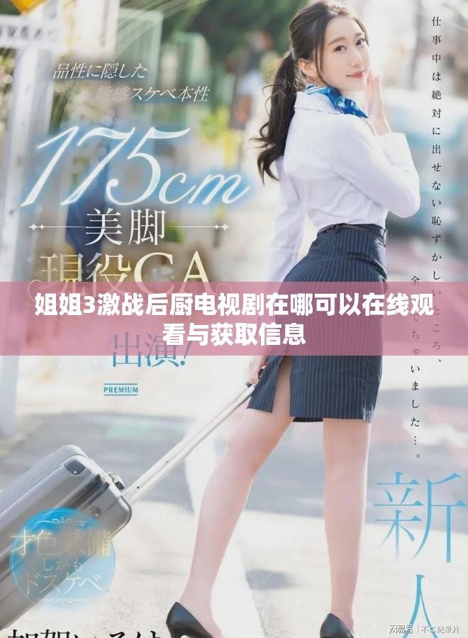 姐姐3激战后厨电视剧在哪可以在线观看与获取信息