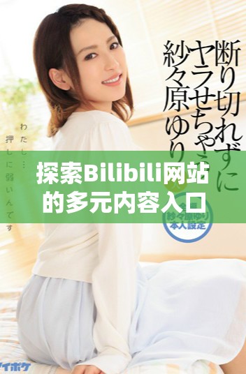 探索Bilibili网站的多元内容入口与使用指南分析