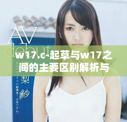 w17.c-起草与w17之间的主要区别解析与对比分析