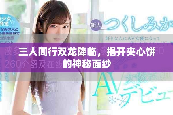 三人同行双龙降临，揭开夹心饼的神秘面纱