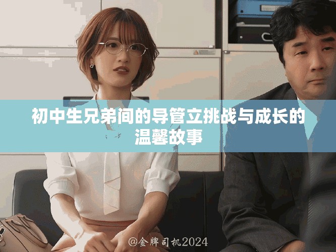 初中生兄弟间的导管立挑战与成长的温馨故事