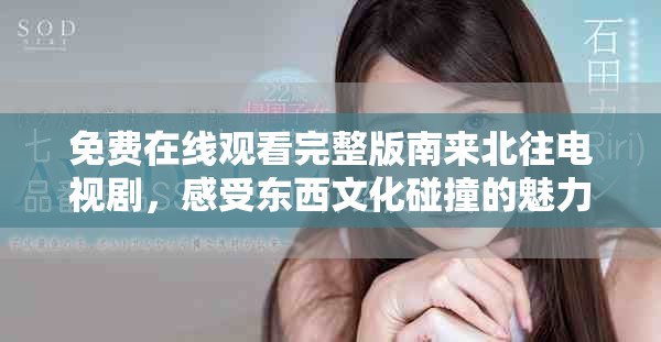 免费在线观看完整版南来北往电视剧，感受东西文化碰撞的魅力