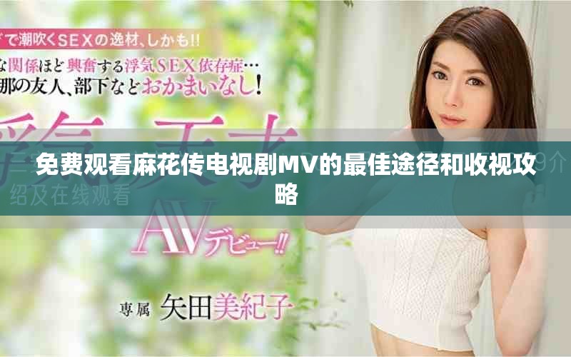 免费观看麻花传电视剧MV的最佳途径和收视攻略