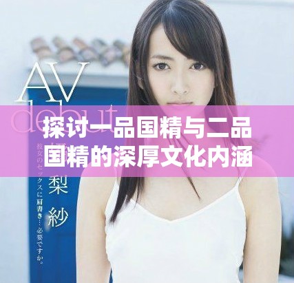 探讨一品国精与二品国精的深厚文化内涵与历史渊源