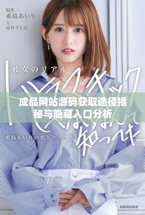 成品网站源码获取途径揭秘与隐藏入口分析