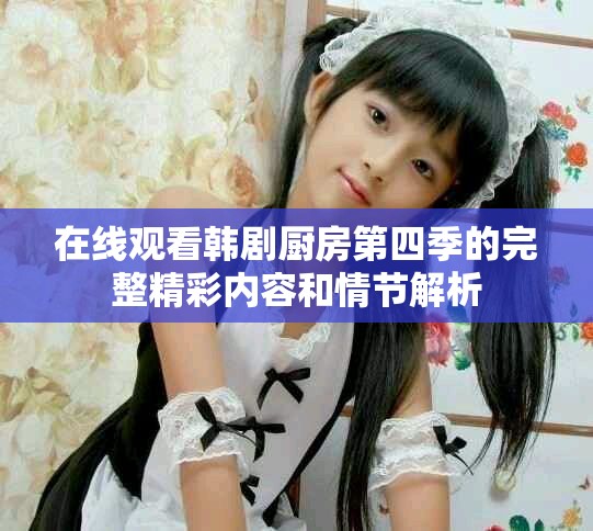 在线观看韩剧厨房第四季的完整精彩内容和情节解析