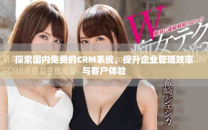 探索国内免费的CRM系统，提升企业管理效率与客户体验
