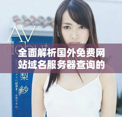 全面解析国外免费网站域名服务器查询的实用方法与技巧