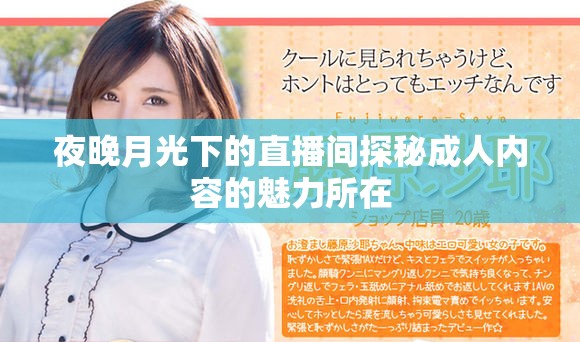 夜晚月光下的直播间探秘成人内容的魅力所在