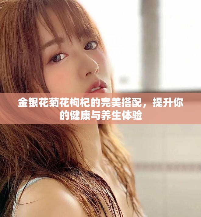 金银花菊花枸杞的完美搭配，提升你的健康与养生体验
