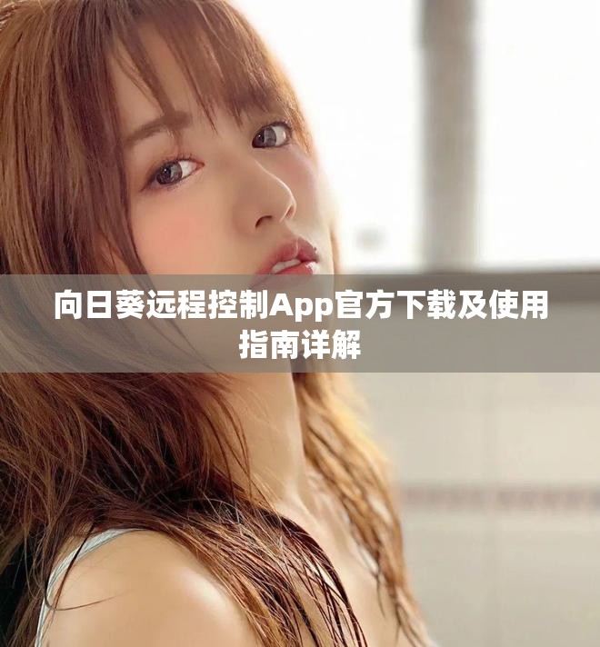 向日葵远程控制App官方下载及使用指南详解