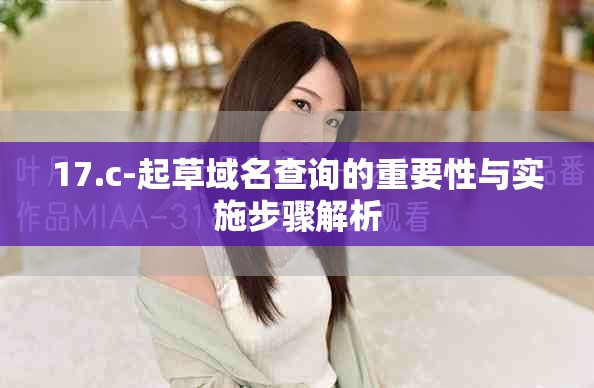17.c-起草域名查询的重要性与实施步骤解析