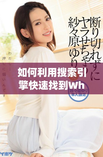 如何利用搜索引擎快速找到WhatsApp上的联系人和信息