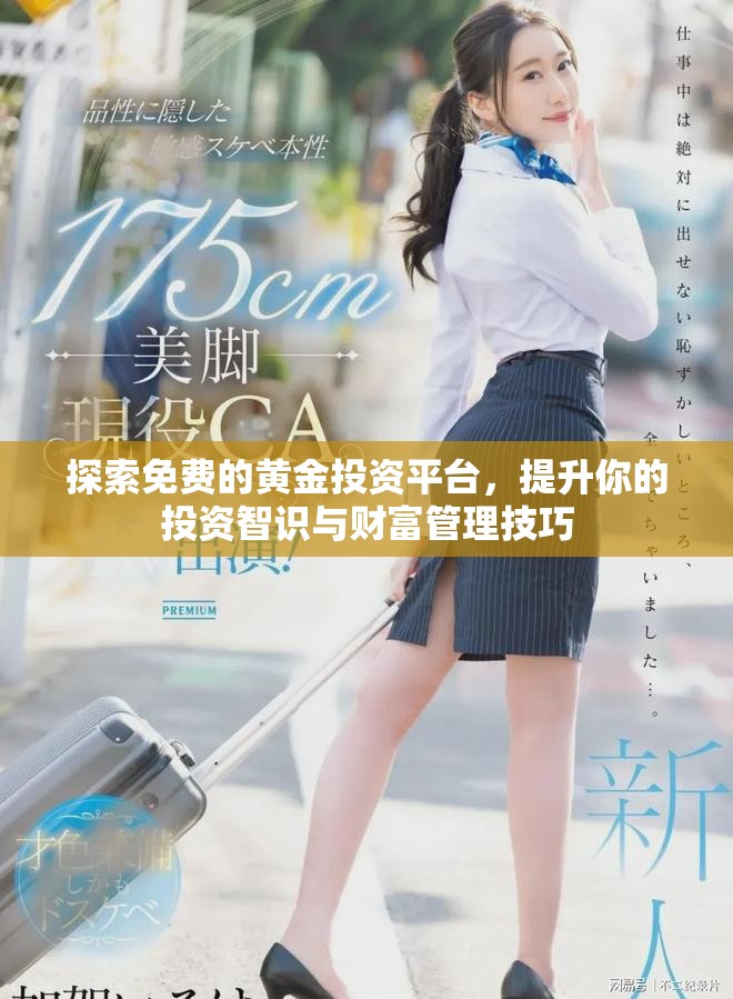 探索免费的黄金投资平台，提升你的投资智识与财富管理技巧