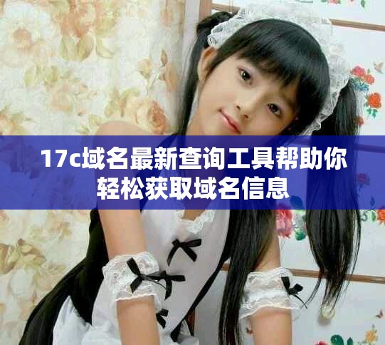 17c域名最新查询工具帮助你轻松获取域名信息
